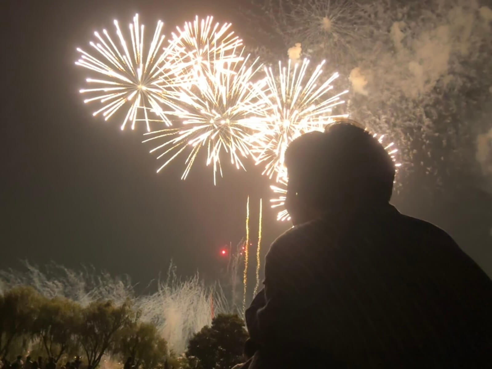 A silhouette of a person watching fireworks
